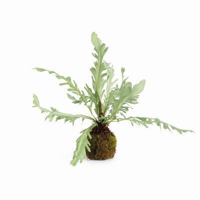 Davallia Realistic Faux Rabbit Foot Fern Drop-In 9 in.