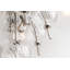 Calypso 6 - Light Chandelier-1674749140