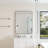 Modern Wall Mirror, Rectangular Mirror, Metal Framed Mirror