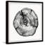 Burned Oak by Marmont Hill - Single Picture Frame Painting-1821573816
