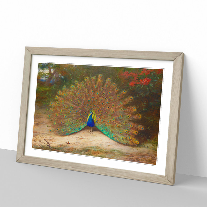 Peacock by Archibald Thorburn - Picture Frame Painting, 48cm H x 65cm W x 2cm D, Oak Framed