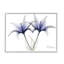 Photographie de fleurs de lis aux rayons X sur toile-93925371-93925369