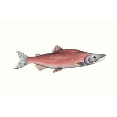 Watercolor Deep Sea Fish III