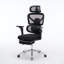 Fauteuil de bureau ergonomique avec support lombaire à massage, appui-tête 4D et accoudoirs 5D, dossier réglable haut et profondeur d'assise