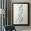 «Botanical Study in Sage III», peinture sur toile encadrée-464923114