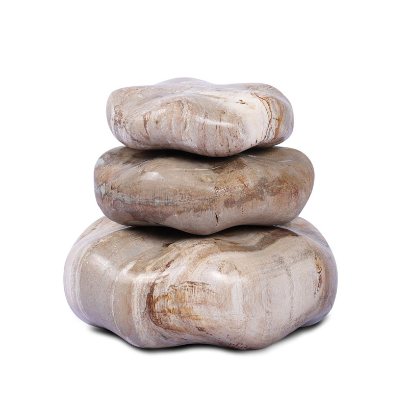 Petrified Wood Organic Sculpture, Light Brown