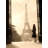 1920 Woman at the Gate, Eiffel Tower-1344844894