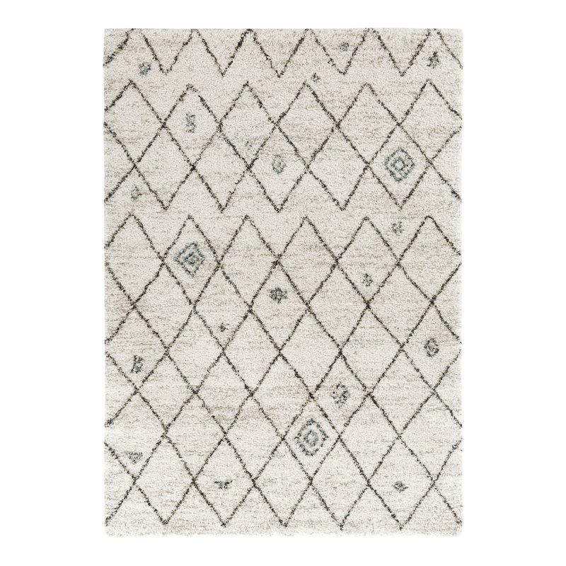 Albers Geometric Shag Area Rug, Rectangle 120 x 170cm