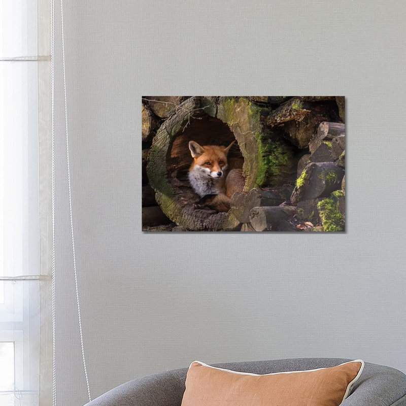Renard - Giclée sur toile tendue avec châssis, H 18 po x l 26 po