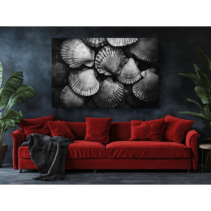 Black and White Sea Shells on High-Quality Canvas Print - Handcrafted Wall Decor - Stylish Art - Gift - Wall Decor