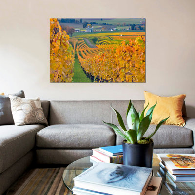 " Autumn Vineyard Landscape, Stoller Family Estate, Yamhill County, Oregon, USA " Color Photography