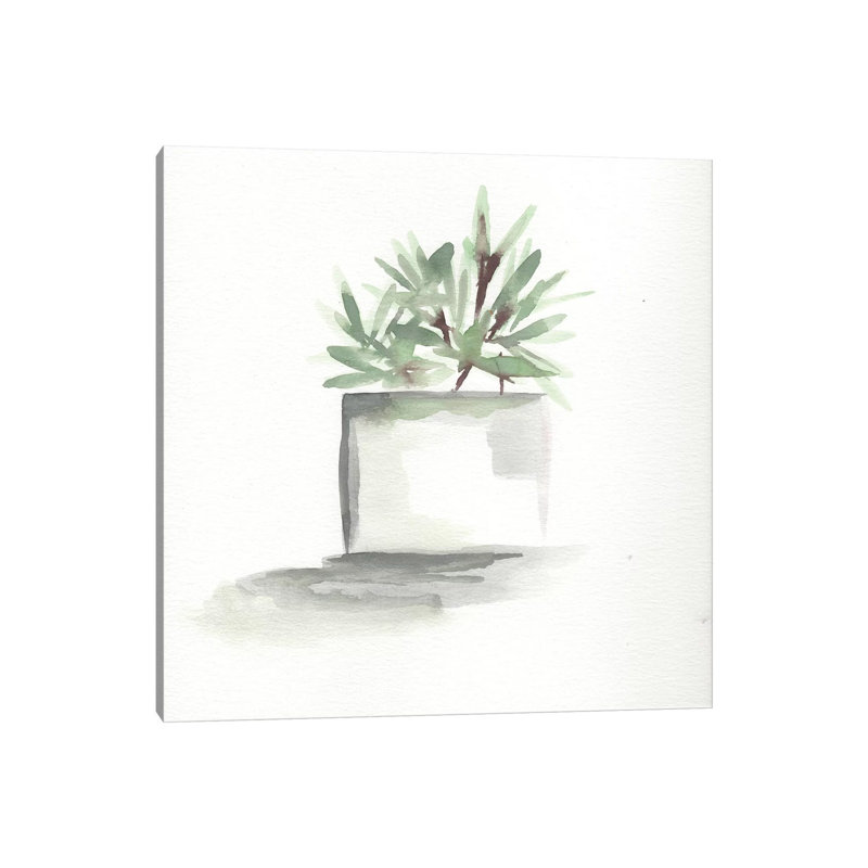 Watercolour Cactus Still Life IV 1 Piece Wrapped Canvas Painting, 45.72 cm H x 45.72 cm W x 3.175 cm D