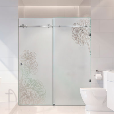 Portes de douche coulissantes en verre l 58 po x H 80 po