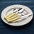 ANNOVA Stainless Steel Flatware Set - Service for 4-46501132