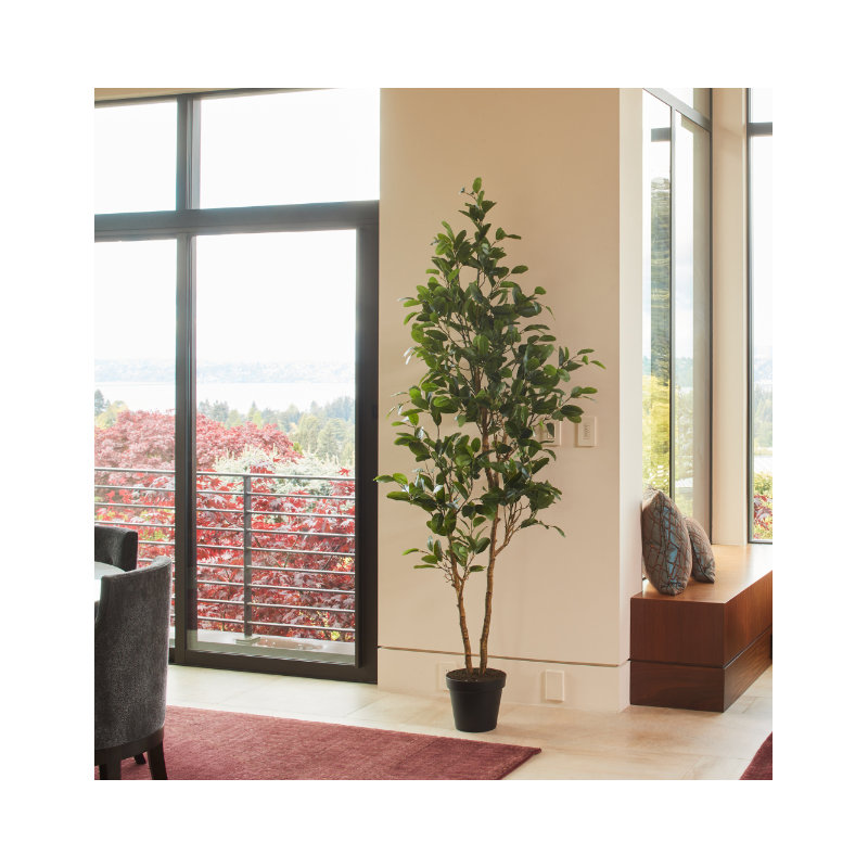 TREE LEMON GROWER 7FT