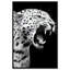 Leopard Roar Animals Canvas Print by Oliver Gal, Black Frame, 10 x 15-742875021-742875028