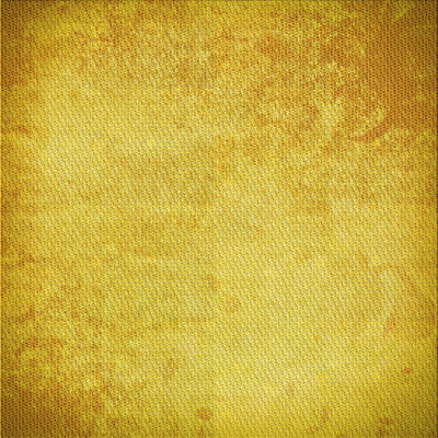 Performance Wool Indoor Rug