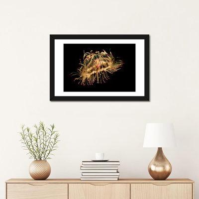 «Flower Hat Jelly, Native to Brésil, l'Argentine et le Japon» par Hiroya Minakuchi - impression sur toile tendue