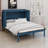 Murphy Bed Queen With Metal Legs-109100665