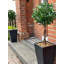 Faux Topiary in Pot Liner-1221621309