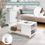 Raakel Coffee Table with Storage