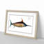 Swordfish - Picture Frame Art Prints-55616840-55616845