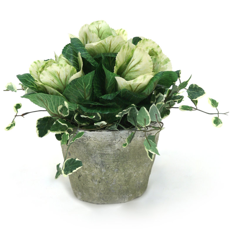 Arrangement floral kale et pièce maîtresse en vase