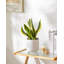 HDHPOT Ceramic Pot Planter