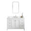 Darreyl 48'' W Single Vanity with Mirror