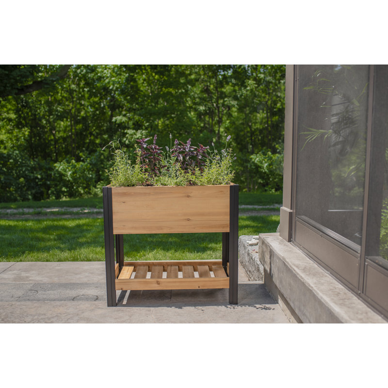 Mezza Cedar Raised Planter, 33.1" H x 31.6" W x 18" D