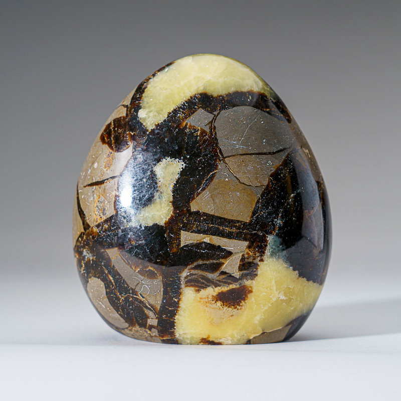 Polished Septarian Freeform From Madagascar (1.9 Lbs)