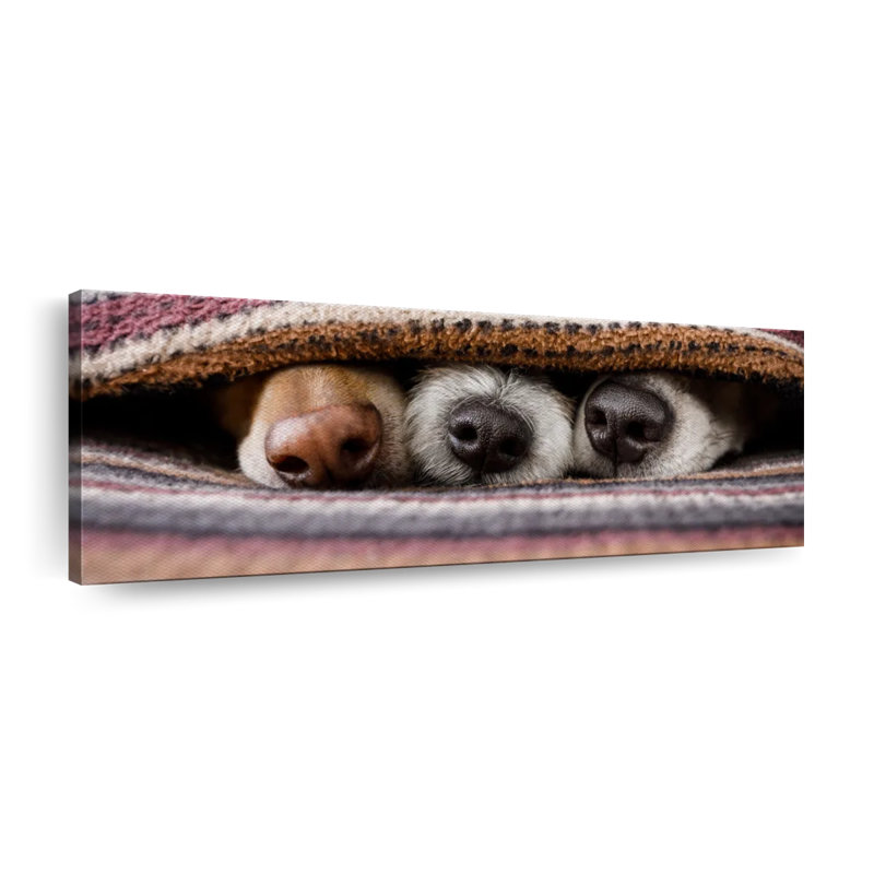 «Dog Hiding Dogs», reproduction sur toile, H 15 po x l 45 po x P 1,25 po