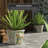 Diandrea Handmade Ceramic Pot Planter-289754449