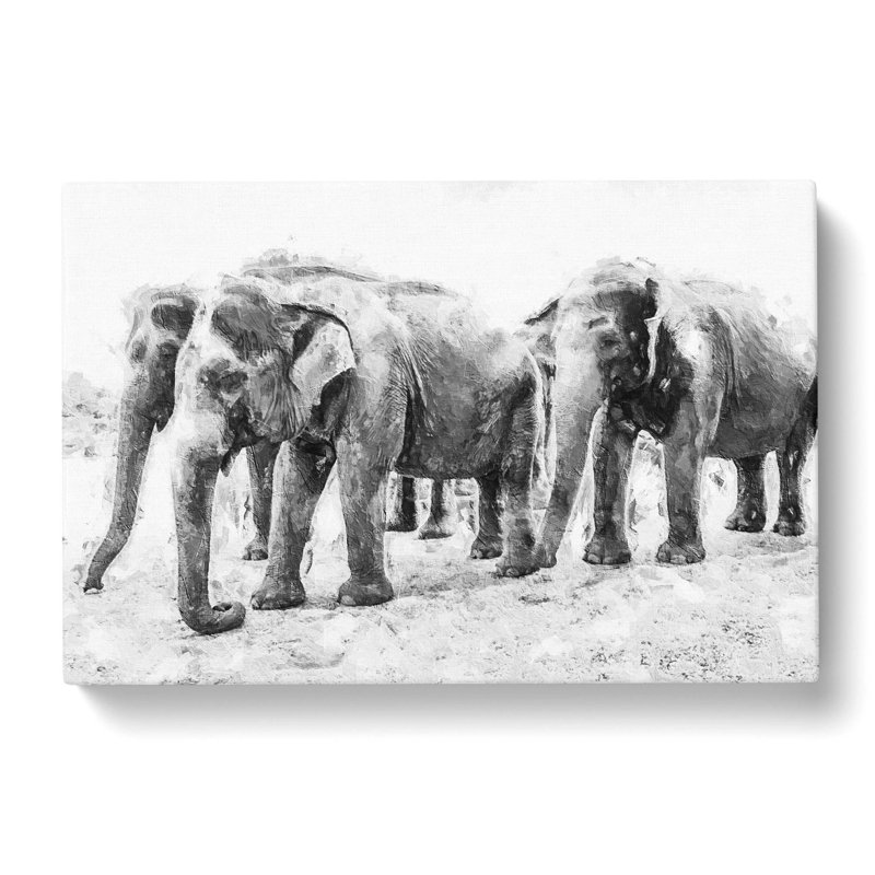 Elephants In Sri Lanka - Wrapped Canvas, 40cm H x 60cm W x 3cm D