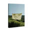 Floating Cotton I Print by Oliver Gal-350277345-454429954