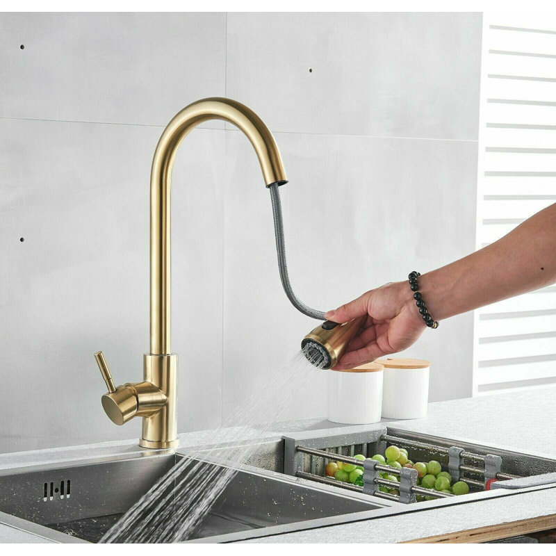 Fairmont Park Nerbone Pull Out Kitchen Faucet