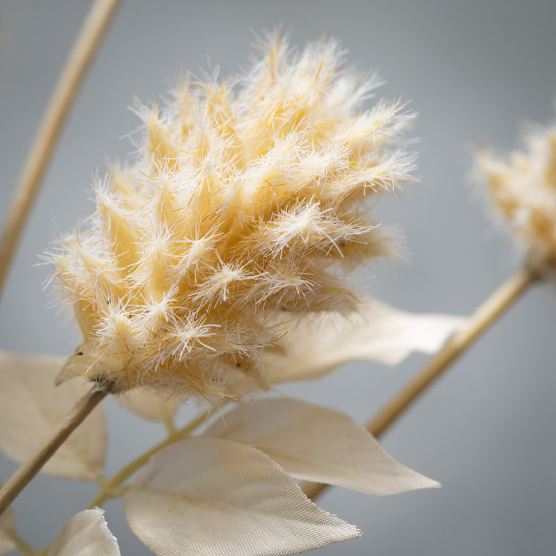 Madie Thistle Arrangement, Off-White