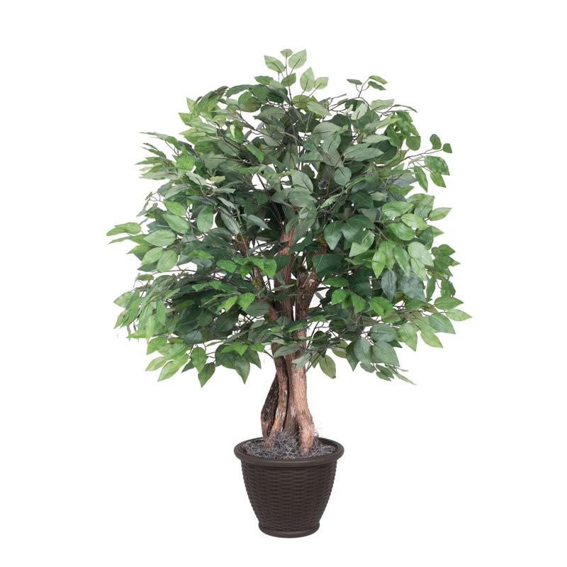 Arbre en pot artificiel Ficus, Brun
