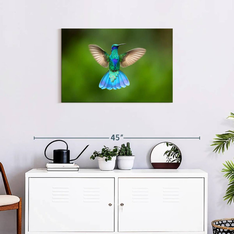 Brampt Flying Violetear Hummingbird, 20" H x 30" W