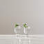 Bristol Drinking Glass
