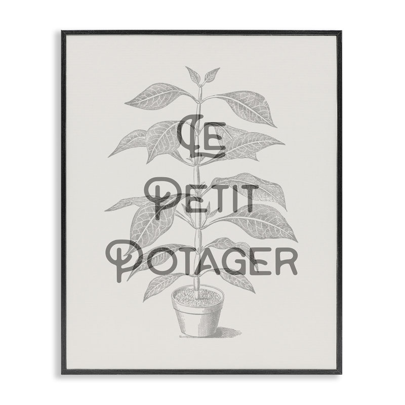 Giclée encadrée par une plante française rétro, design par Lil 'Rue, H 30 po x l 24 po, Giclée encadrée noir minuit