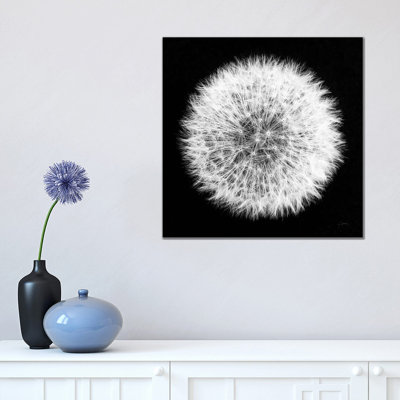 Dandelion On Black I by Aledanda - Wrapped Canvas Print