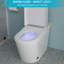 Toilette de bidet moderne et intelligente avec fonction - siège chauffant allongé, lavage à l'eau chaude, sécheuse, affichage à DEL, fonction avancée de nuit, chasse d'eau automatique