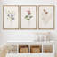"Minimal Botanical" Pastel Wild Flower Daisy Variétés-91875093-91875089
