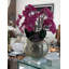 Olympian Phalaenopsis Orchids Centerpiece in Planter-849736862-849736863