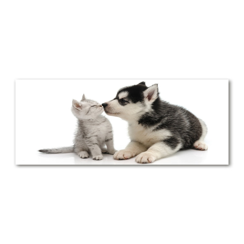 Dog And Cat - Wrapped Canvas Print