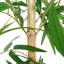 Silk Bamboo Tree in Planter
