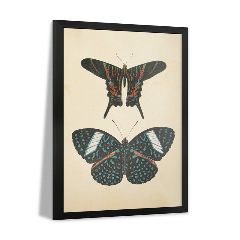 Papillons II - reproduction d'art murale - affiche de galerie, H 24 po x l 16 po