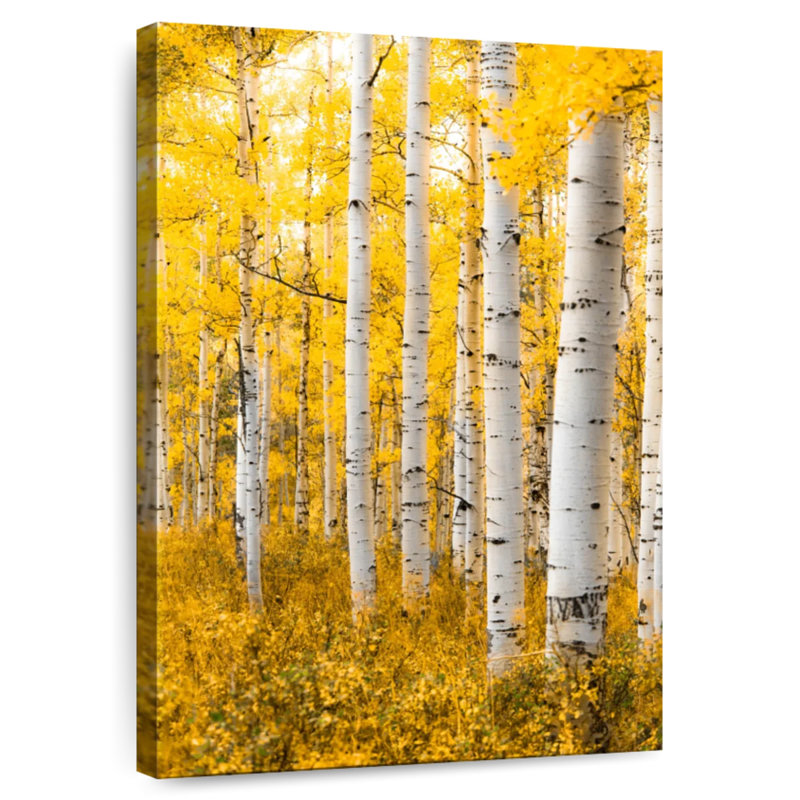 Alvord Yellow Forest, 12" H x 8" W