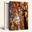 Art mural sur toile, "Towering Trees" avec feuilles d'automne dorées et ciel bleu-133510711